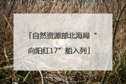 自然资源部北海局“向阳红17”船入列