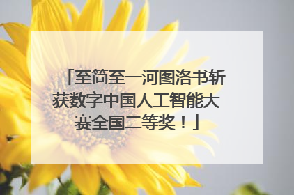 至简至一河图洛书斩获数字中国人工智能大赛全国二等奖！