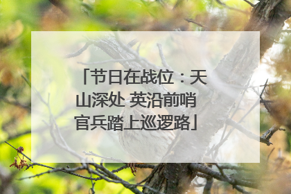 节日在战位：天山深处 英沿前哨官兵踏上巡逻路