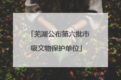 芜湖公布第六批市级文物保护单位