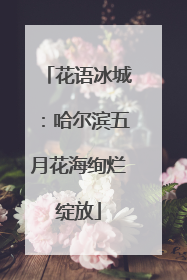 花语冰城：哈尔滨五月花海绚烂绽放