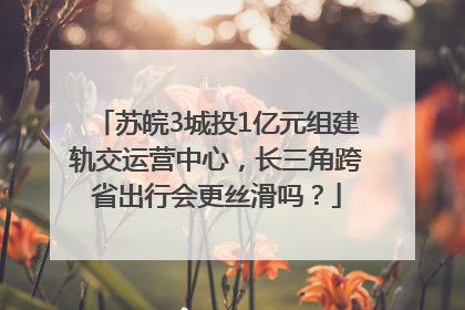 苏皖3城投1亿元组建轨交运营中心，长三角跨省出行会更丝滑吗？
