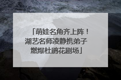 萌娃名角齐上阵！湖艺名师凌静携弟子燃爆杜鹃花剧场
