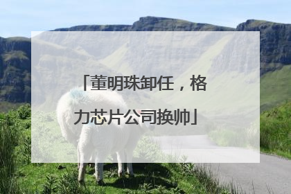 董明珠卸任，格力芯片公司换帅