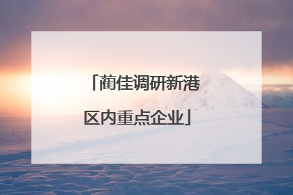 蔺佳调研新港区内重点企业