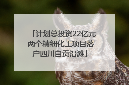 计划总投资22亿元 两个精细化工项目落户四川自贡沿滩
