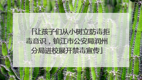 让孩子们从小树立防毒拒毒意识，镇江市公安局润州分局进校展开禁毒宣传