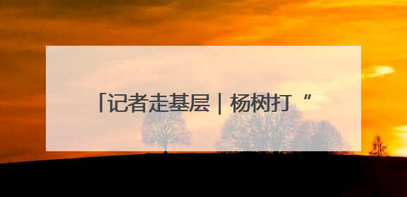记者走基层｜杨树打“点滴” 来年抑飞絮