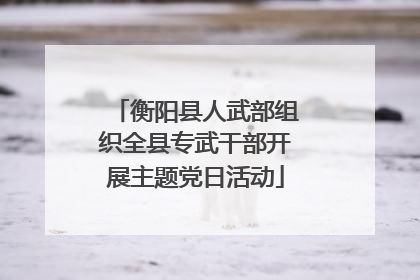 衡阳县人武部组织全县专武干部开展主题党日活动