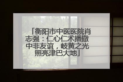 衡阳市中医医院肖志强：仁心仁术播撒中非友谊，岐黄之光照亮津巴大地