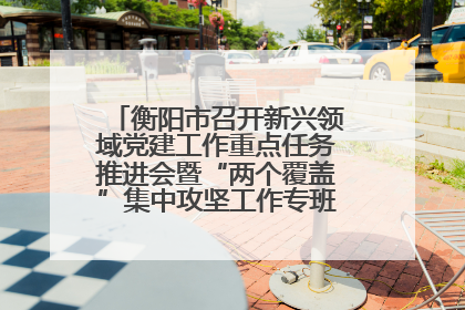 衡阳市召开新兴领域党建工作重点任务推进会暨“两个覆盖”集中攻坚工作专班 第一次会议