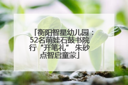 衡阳智星幼儿园：52名萌娃石鼓书院行“开笔礼” 朱砂点智启童蒙