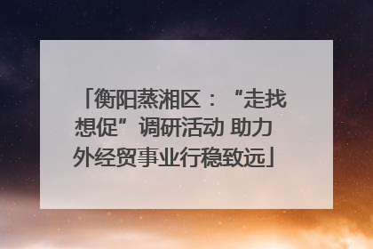 衡阳蒸湘区：“走找想促”调研活动 助力外经贸事业行稳致远