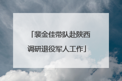 裴金佳带队赴陕西调研退役军人工作