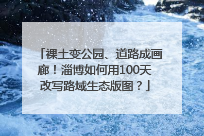 裸土变公园、道路成画廊！淄博如何用100天改写路域生态版图？