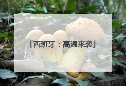西班牙：高温来袭