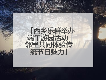 西乡乐群举办端午游园活动 邻里共同体验传统节日魅力