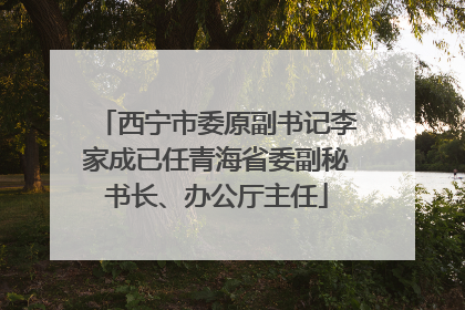 西宁市委原副书记李家成已任青海省委副秘书长、办公厅主任