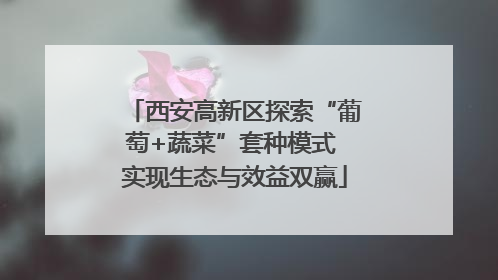 西安高新区探索“葡萄+蔬菜”套种模式 实现生态与效益双赢