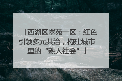 西湖区翠苑一区：红色引领多元共治，构建城市里的“熟人社会”