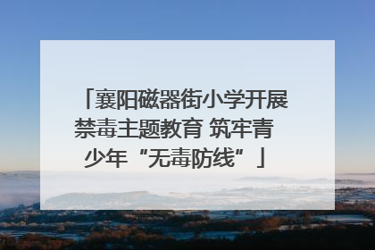 襄阳磁器街小学开展禁毒主题教育 筑牢青少年“无毒防线”