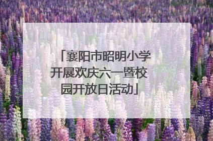 襄阳市昭明小学开展欢庆六一暨校园开放日活动