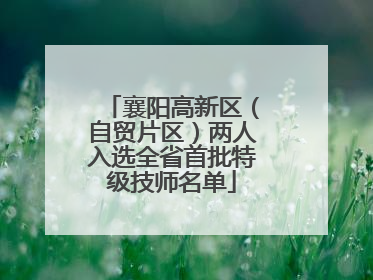 襄阳高新区（自贸片区）两人入选全省首批特级技师名单