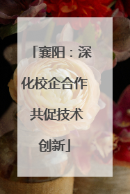 襄阳：深化校企合作 共促技术创新