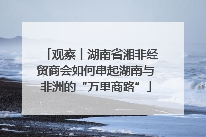 观察丨湖南省湘非经贸商会如何串起湖南与非洲的“万里商路”