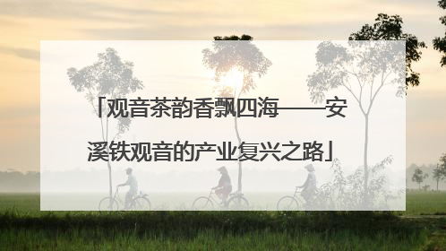 观音茶韵香飘四海——安溪铁观音的产业复兴之路