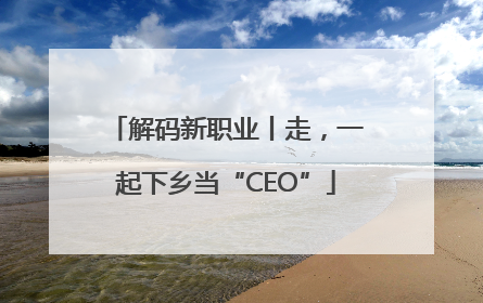 解码新职业丨走，一起下乡当“CEO”