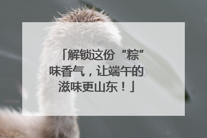 解锁这份“粽”味香气，让端午的滋味更山东！