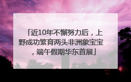 近10年不懈努力后，上野成功繁育两头非洲象宝宝，端午假期华东首展