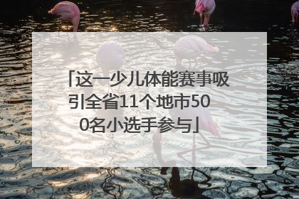 这一少儿体能赛事吸引全省11个地市500名小选手参与