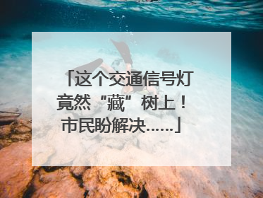 这个交通信号灯竟然“藏”树上！市民盼解决……