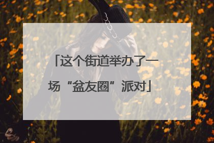 这个街道举办了一场“盆友圈”派对