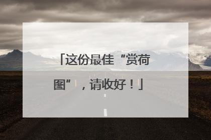 这份最佳“赏荷图”，请收好！