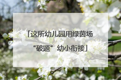 这所幼儿园用绿茵场“破题”幼小衔接