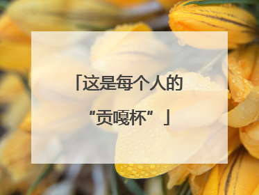 这是每个人的“贡嘎杯”