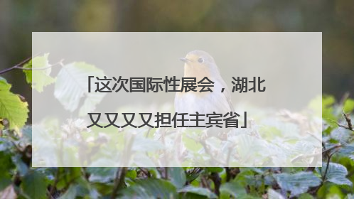 这次国际性展会，湖北又又又又担任主宾省