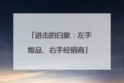 进击的白象：左手爆品、右手经销商