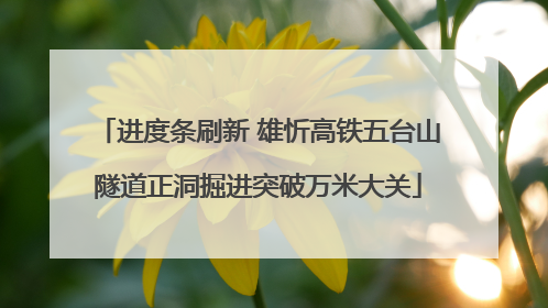 进度条刷新 雄忻高铁五台山隧道正洞掘进突破万米大关