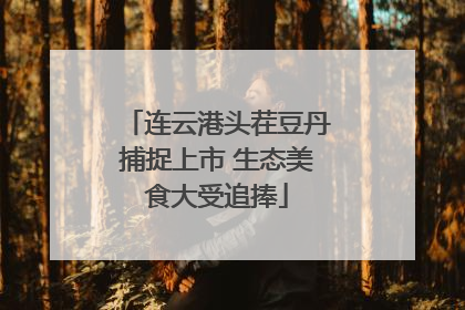 连云港头茬豆丹捕捉上市 生态美食大受追捧