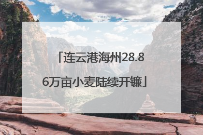 连云港海州28.86万亩小麦陆续开镰