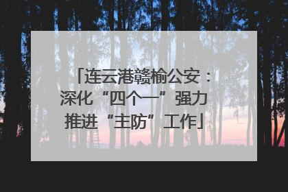 连云港赣榆公安：深化“四个一”强力推进“主防”工作