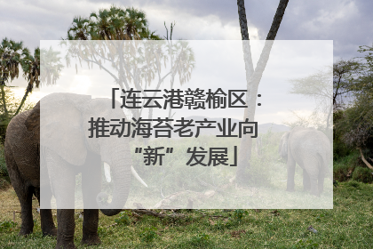 连云港赣榆区：推动海苔老产业向“新”发展