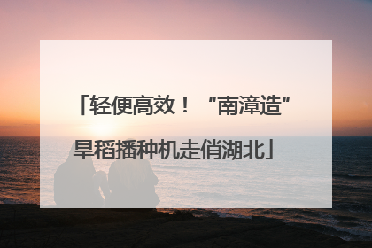 轻便高效！“南漳造”旱稻播种机走俏湖北