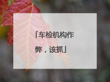 车检机构作弊，该抓