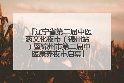 辽宁省第二届中医药文化夜市（锦州站）暨锦州市第二届中医康养夜市启幕