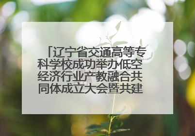 辽宁省交通高等专科学校成功举办低空经济行业产教融合共同体成立大会暨共建低空经济产教融合新生态论坛
